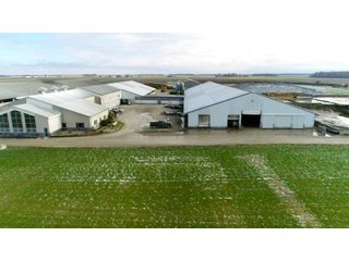 Property photo 6 - OHIO DAIRY AUCTION - 193+/- ACRES IN 4 TRACTS IN PUTNAM COUNTY, OHIO